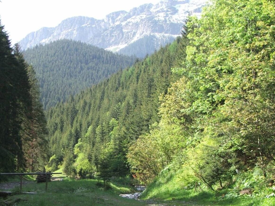 Dolina Roztoki W Tatrach Schronisko I Szlaki