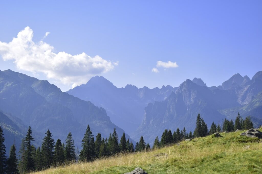 Łatwe szlaki w Tatrach rusinowa polana