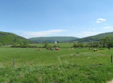 beskid niski