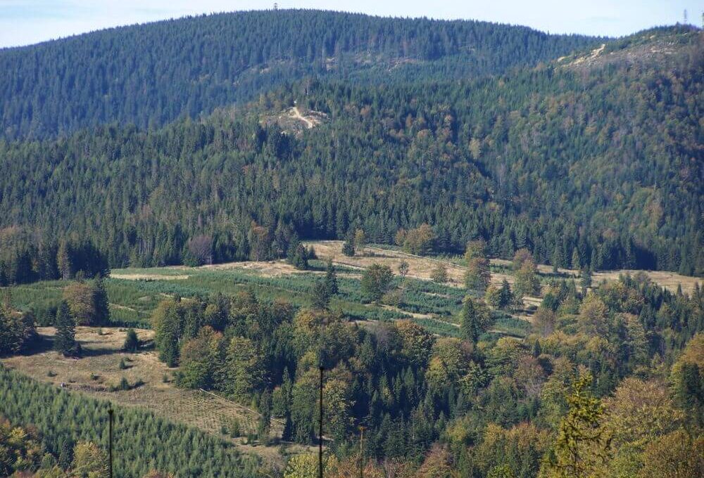 beskid sądecki