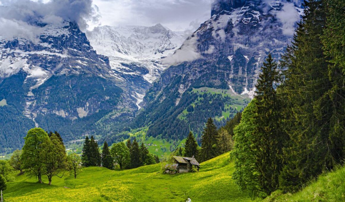 szwajcaria góry