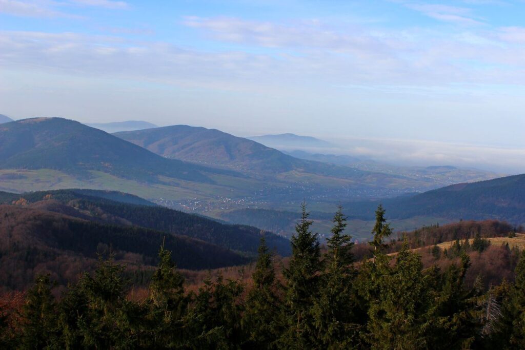 Ćwilin mogielnica