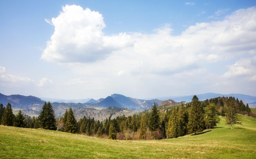 wysoka szczyt pieniny