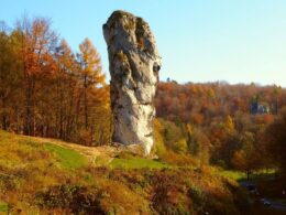 Maczuga Herkulesa