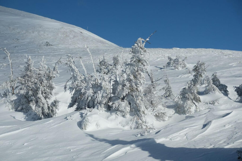 Bieszczady zimą śnieg