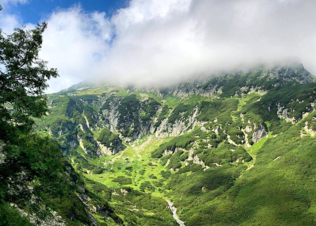 Dolina Pięciu Stawów widok na dolinę