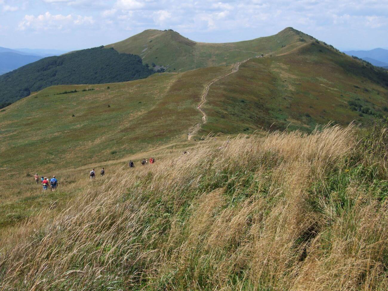 po-onina-wetli-ska-bieszczady-na-wyci-gni-cie-r-ki
