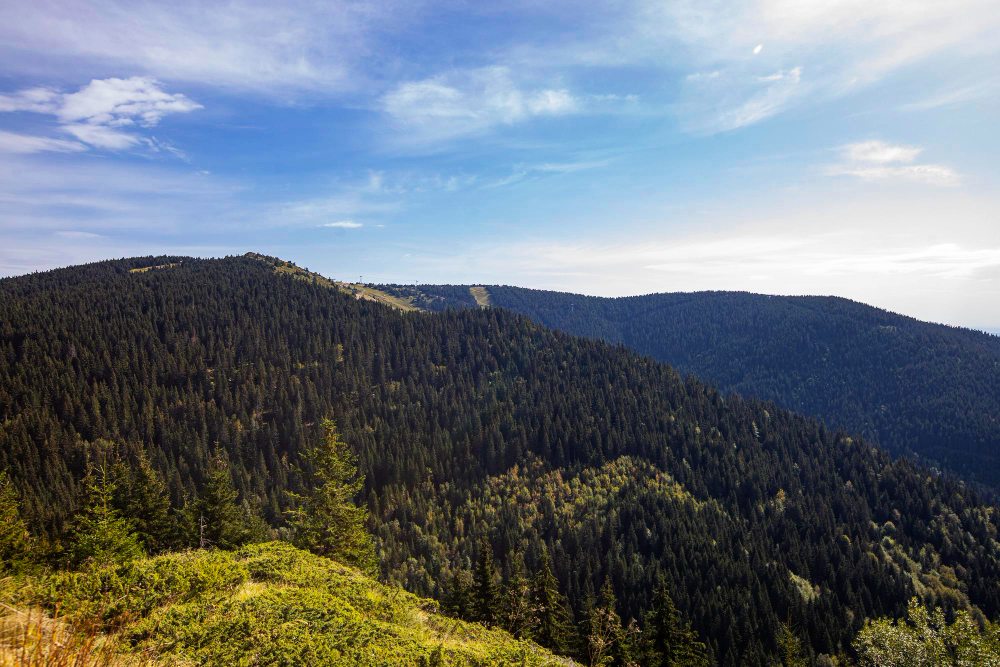 Kopaonik nie tylko narty