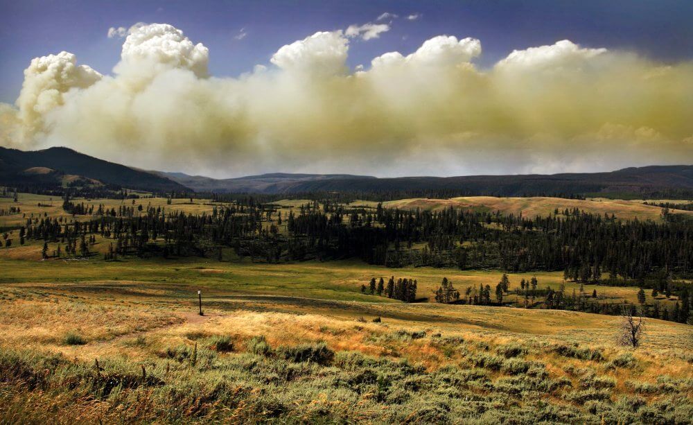 Słynny Park Yellowstone