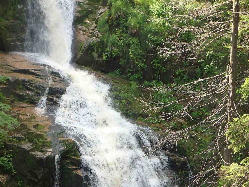 wodospad kamieńczyka - zbliżenie na wodospad, widoczna spływająca woda i drzewa