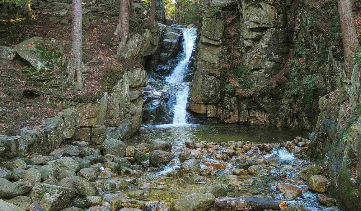 wodospad podgórnej widok na wodospad w lesie a wokół kamienie