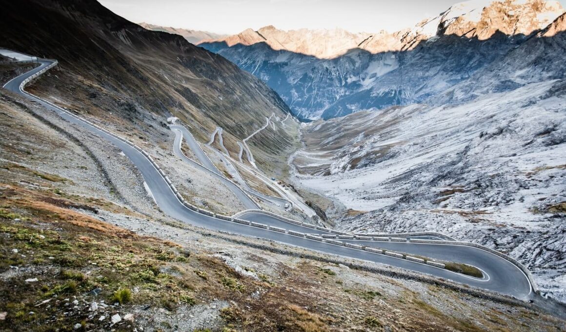 przełęcz stelvio