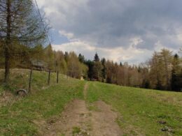 Przełęcz Kocierska