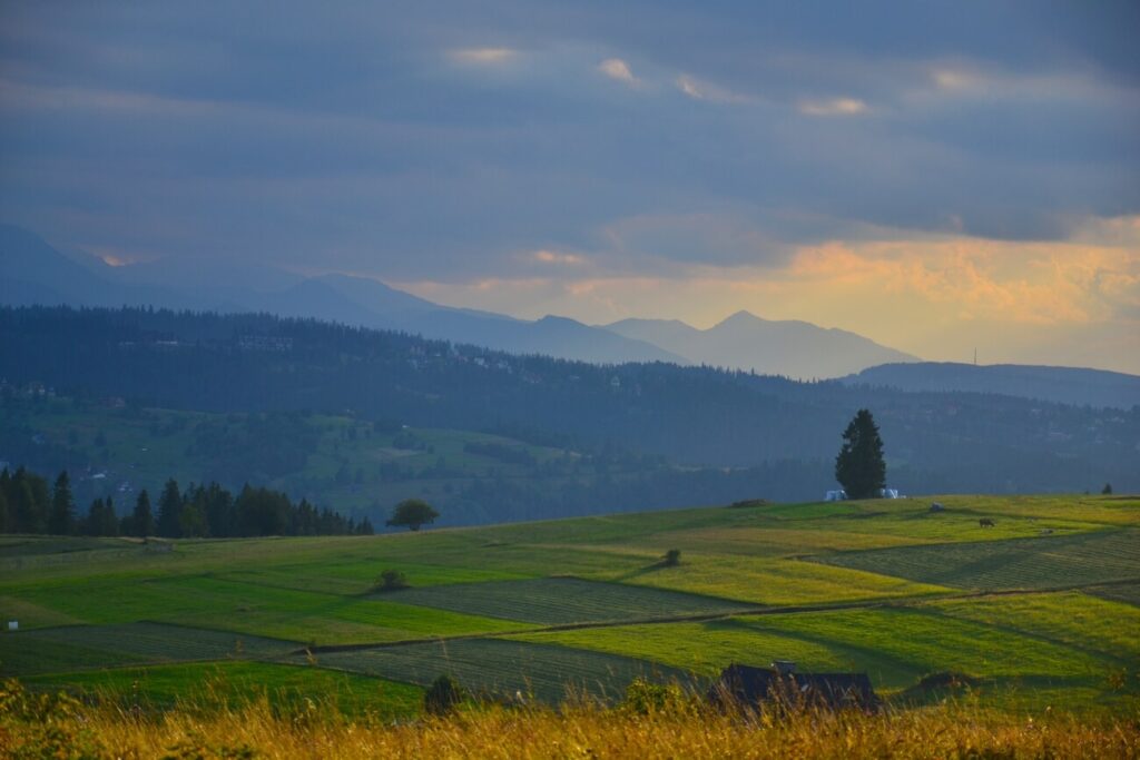 przełęcz nad łapszanką polana