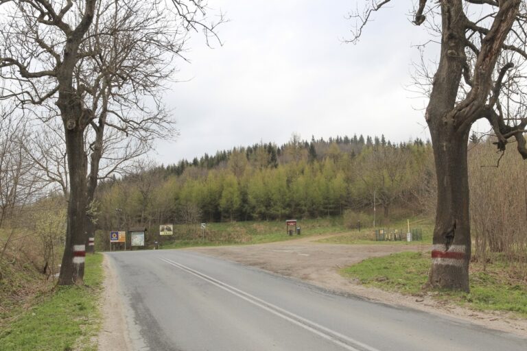 Przełęcz Kowarska