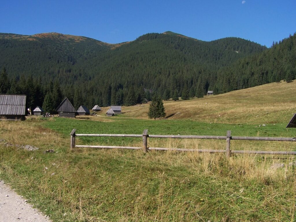 Tatry Grześ widoczny z doliny chochołowskiej