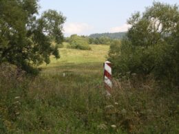 torfowisko bieszczady