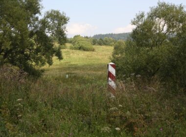 torfowisko bieszczady