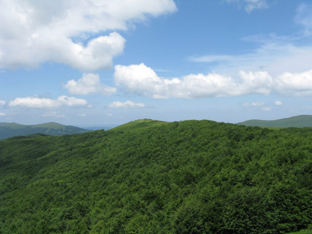 trójstyk bieszczady mała rawka