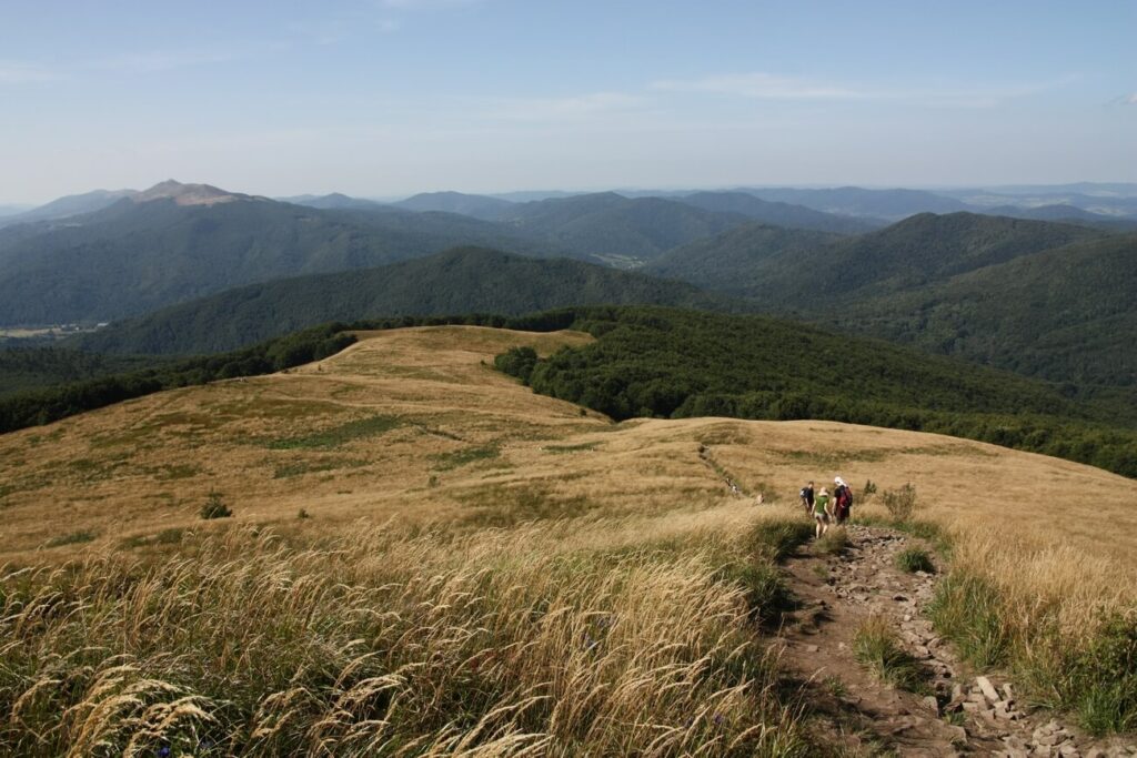 Szeroki Wierch trasa na tarnicę