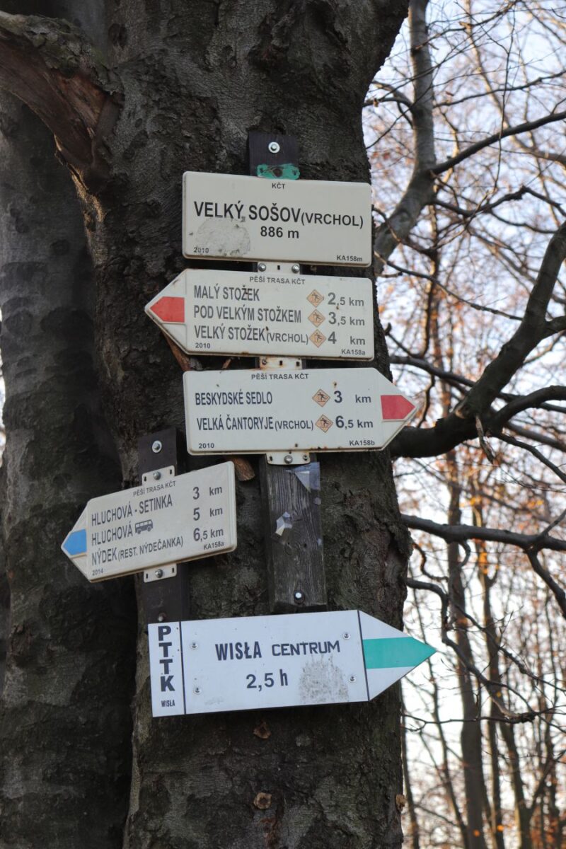 Soszów Wielki widokowy szczyt w Beskidzie Śląskim