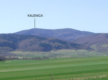 Kalenica