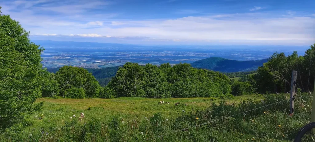 Grand Ballon wioki