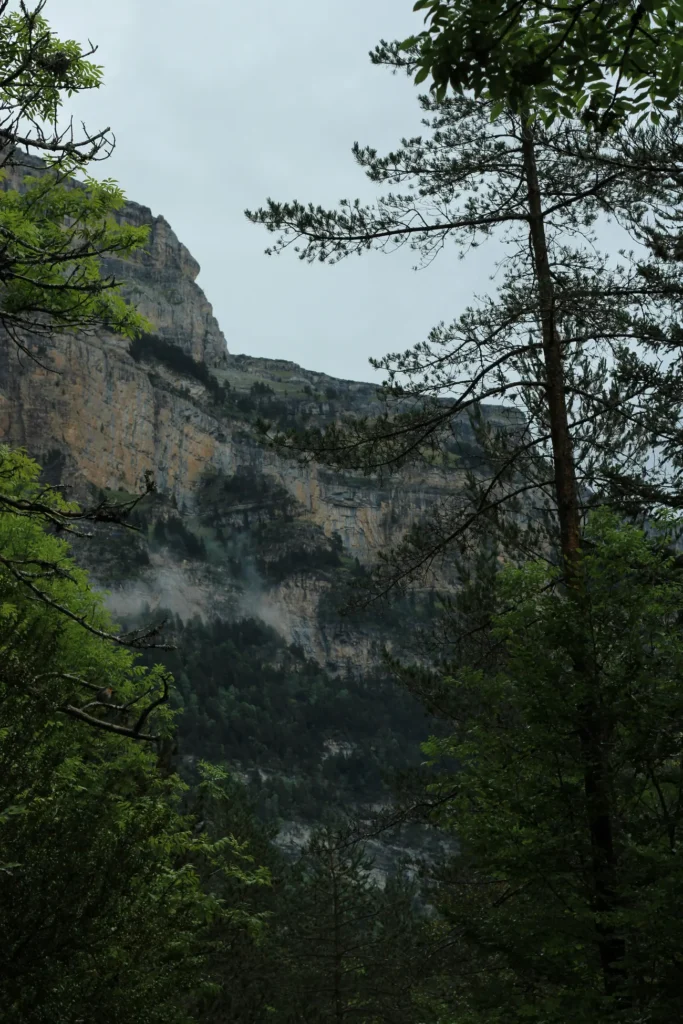 Monte Perdido zapomniana góra z drzewami i choinkami