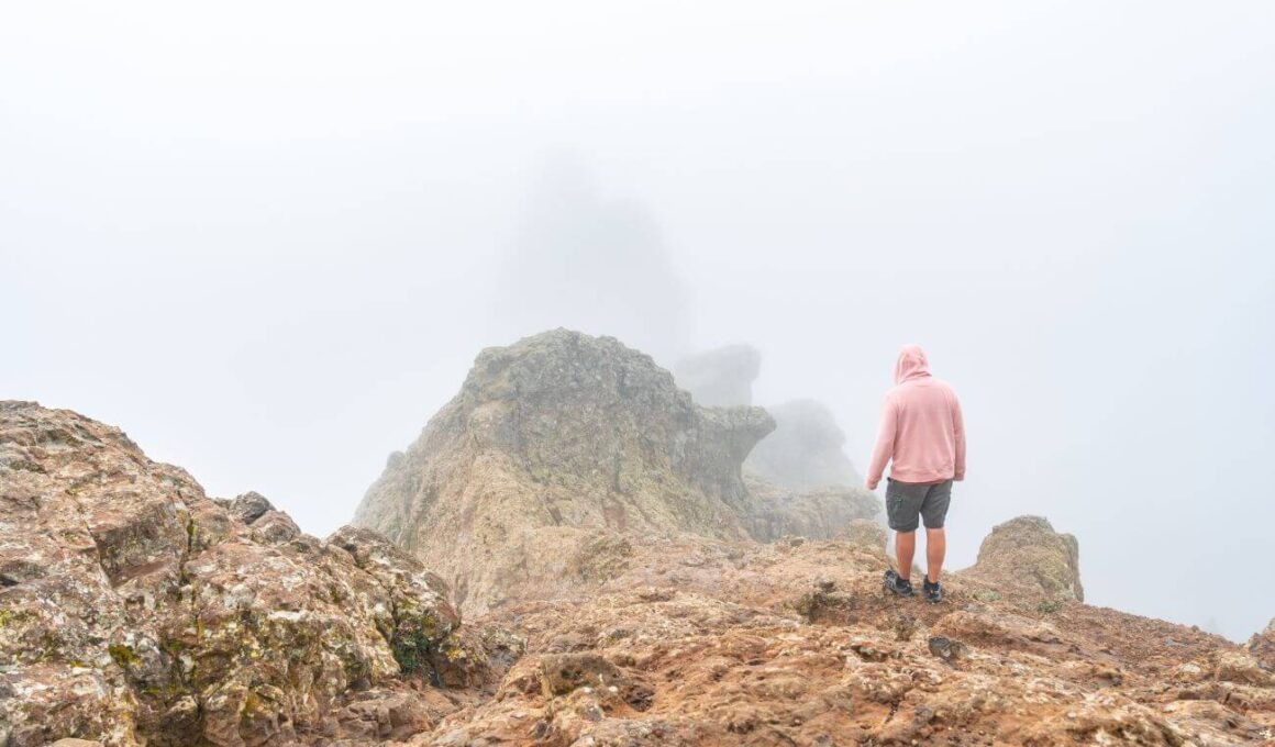 pico de las nieves