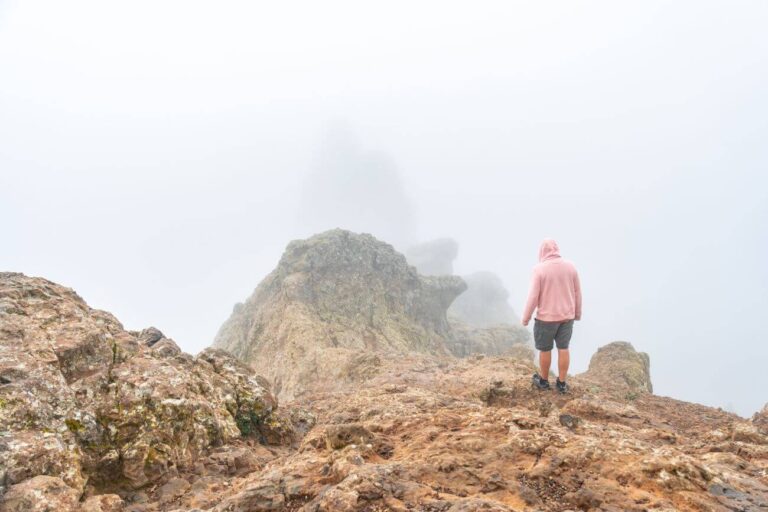 pico de las nieves