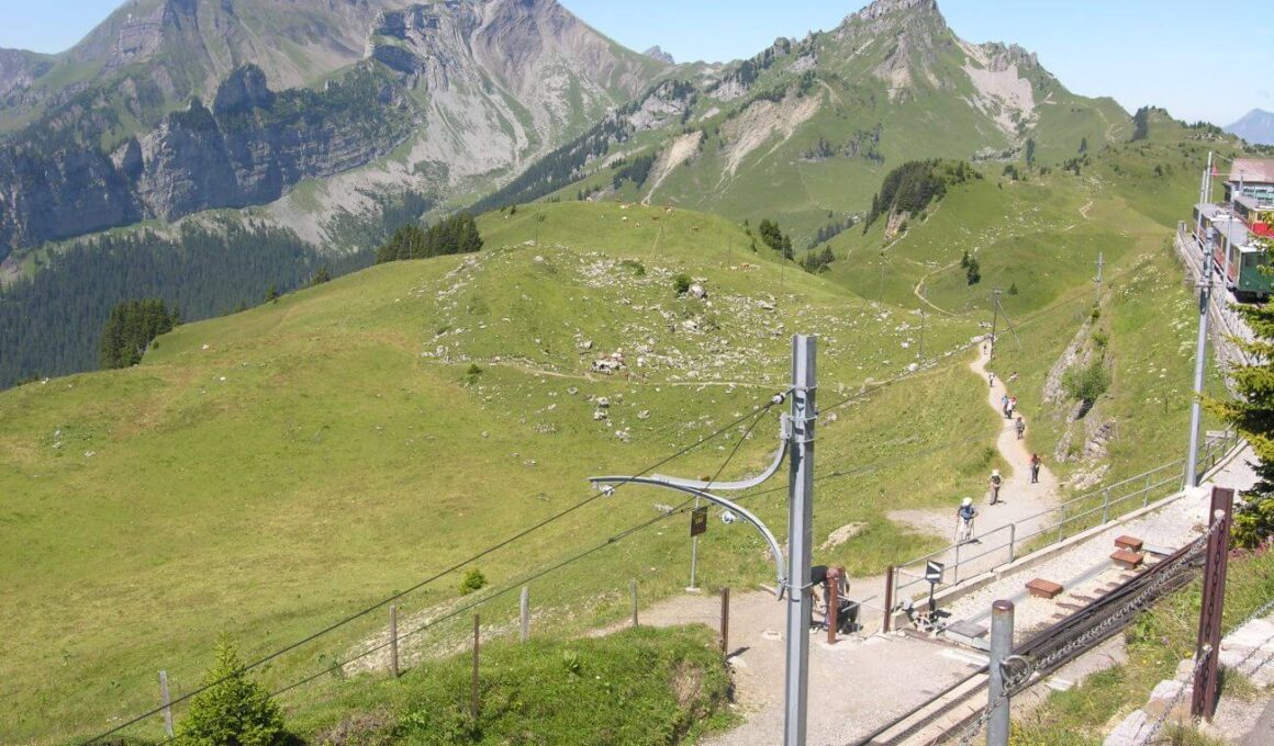 schynige platte