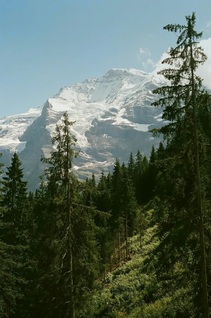 Jungfrau szczyt w oddali