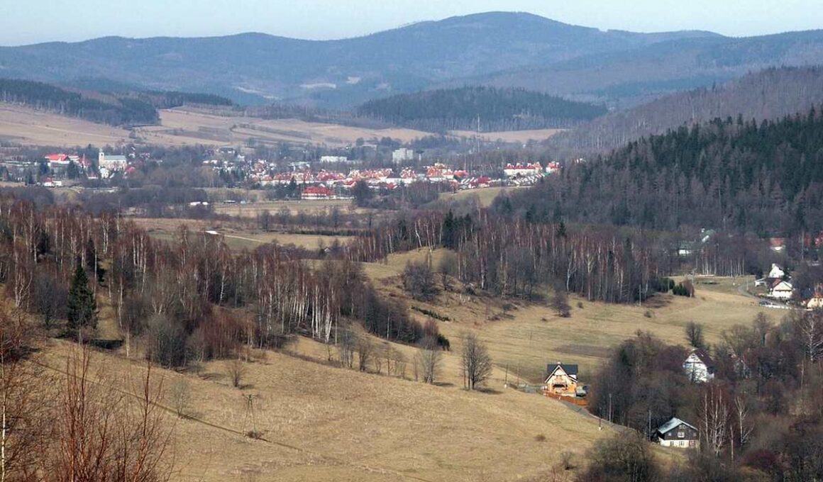 Borówkowa w Górach Złotych