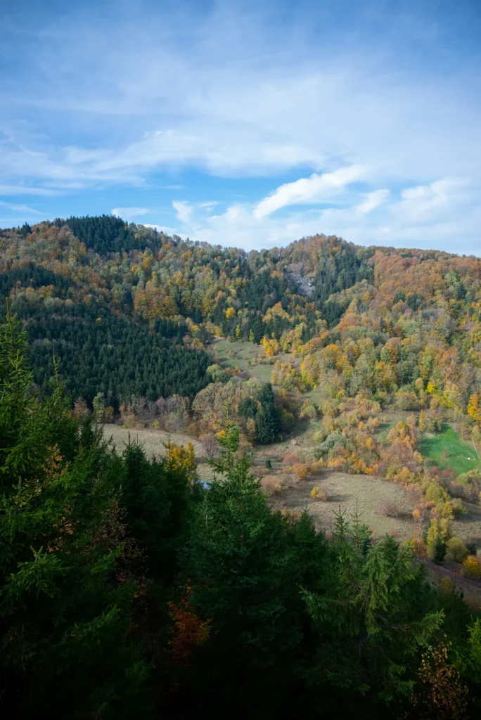 Gomólnik Mały widok