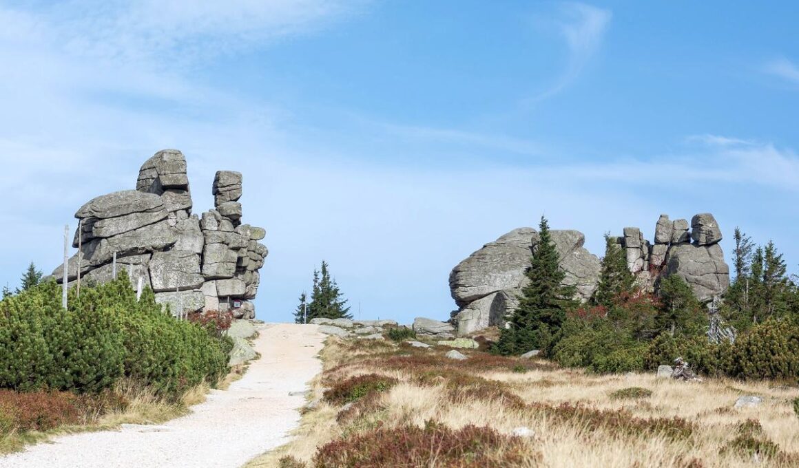 trzy świnki karkonosze