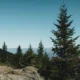 Mount Mitchell