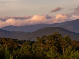 Appalachy