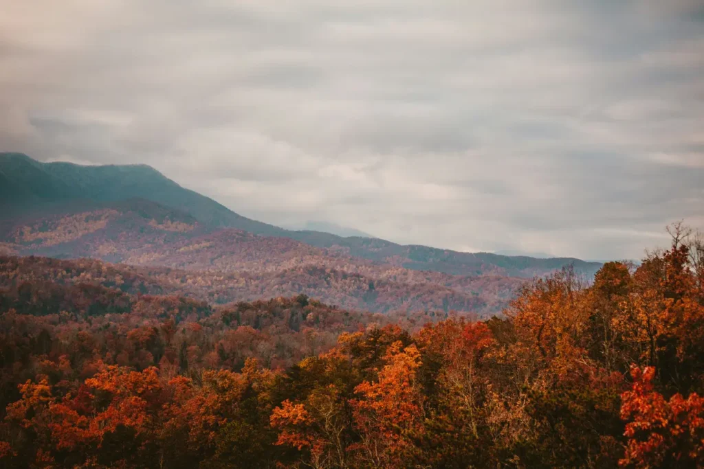 Appalachy