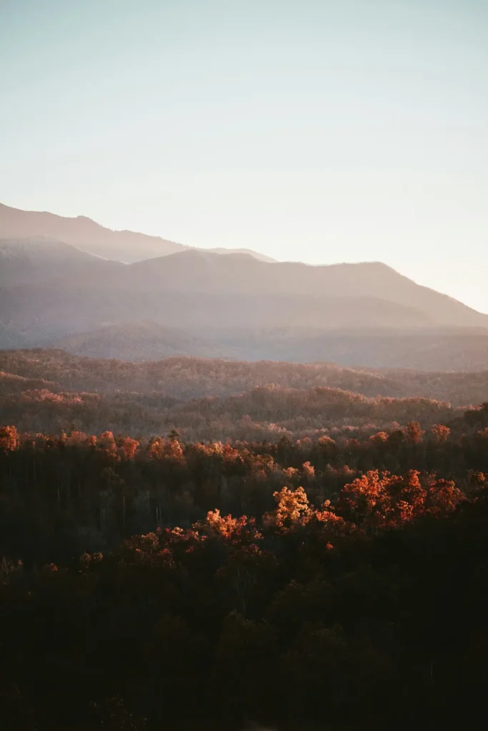 Appalachy