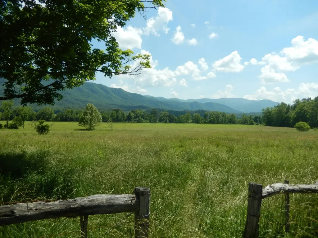 Great Smoky Mountains polana