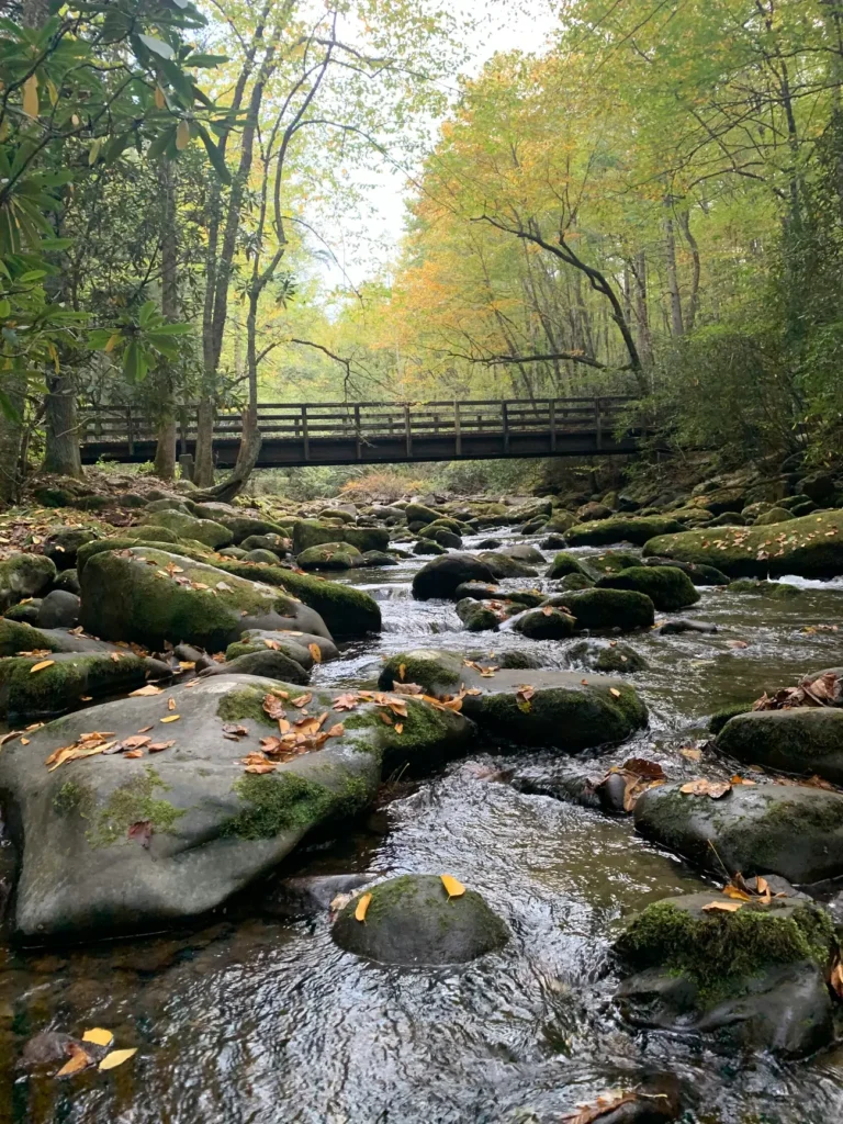 Great Smoky Mountains strumień