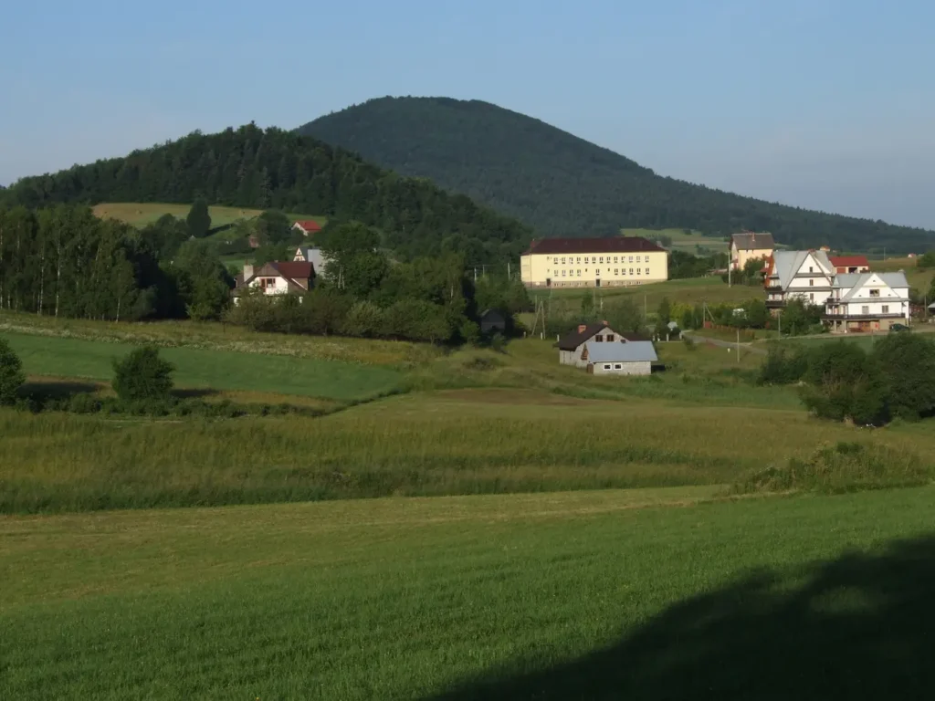Kostrza
