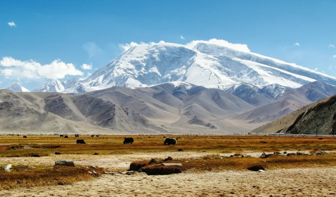 Pamir