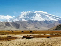 Pamir