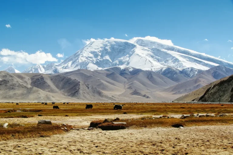 Pamir