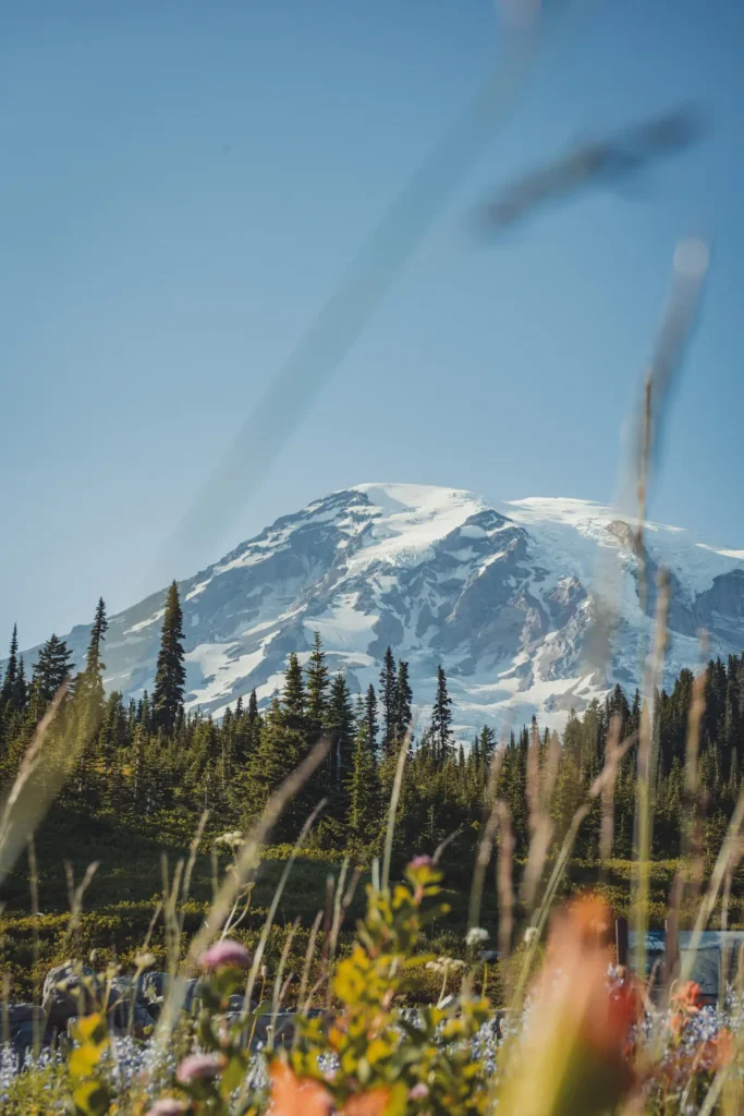 Mount Rainier z oddali