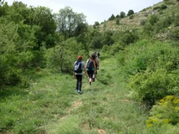 Plecak trekkingowy