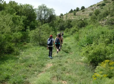 Plecak trekkingowy