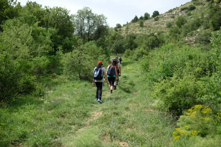 Plecak trekkingowy