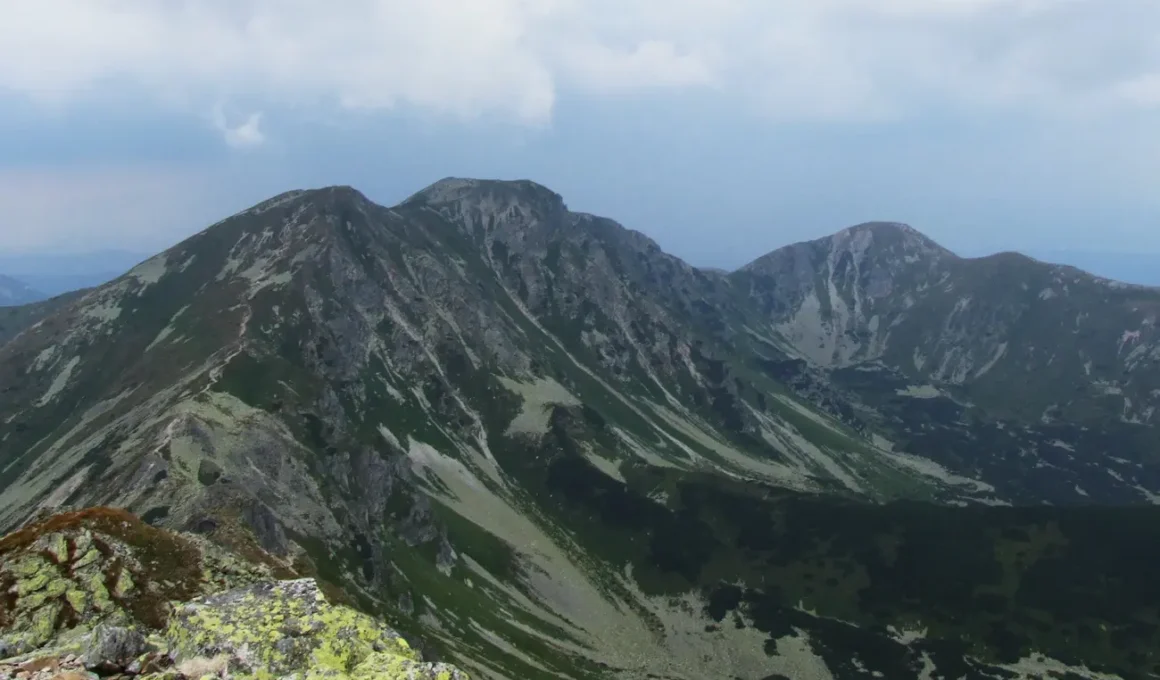 Salatyn